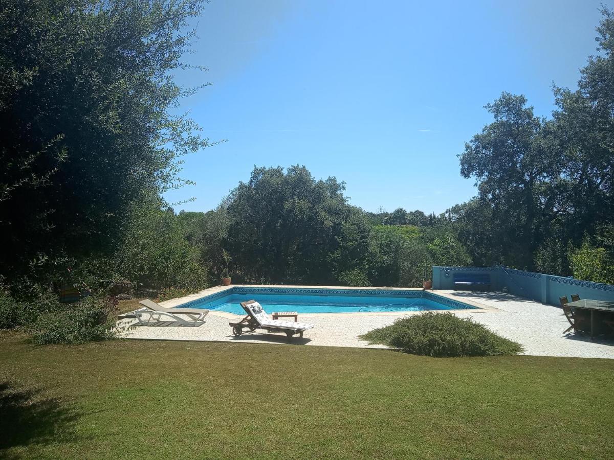 Sotogrande - Estancia En Plena Naturaleza - Abril Eksteriør billede