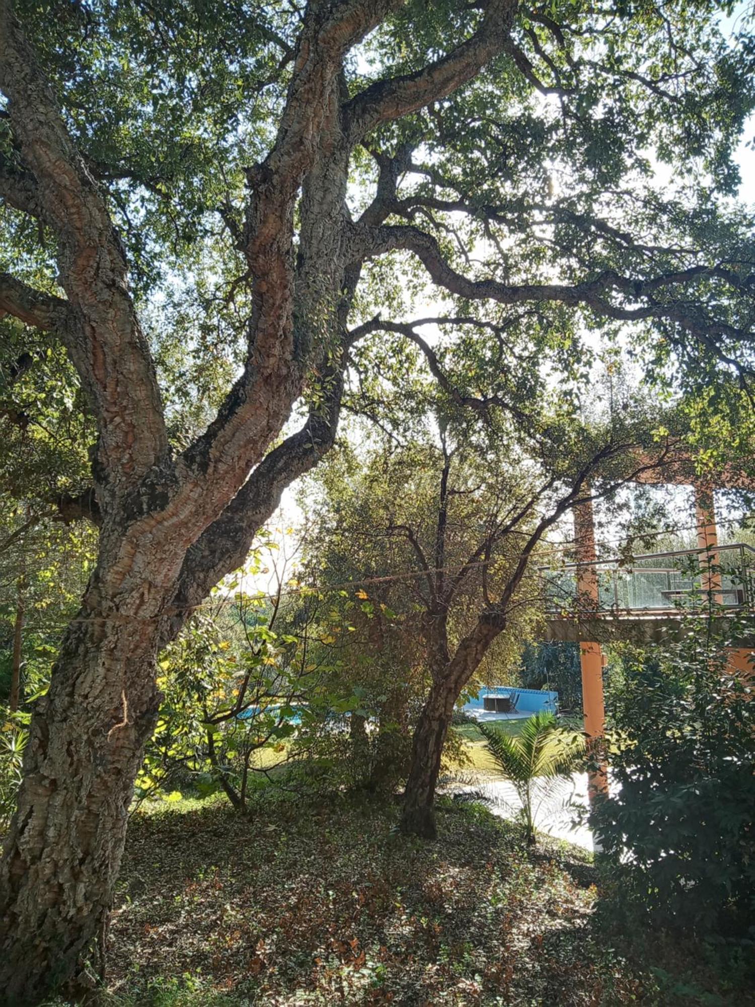 Sotogrande - Estancia En Plena Naturaleza - Abril Eksteriør billede