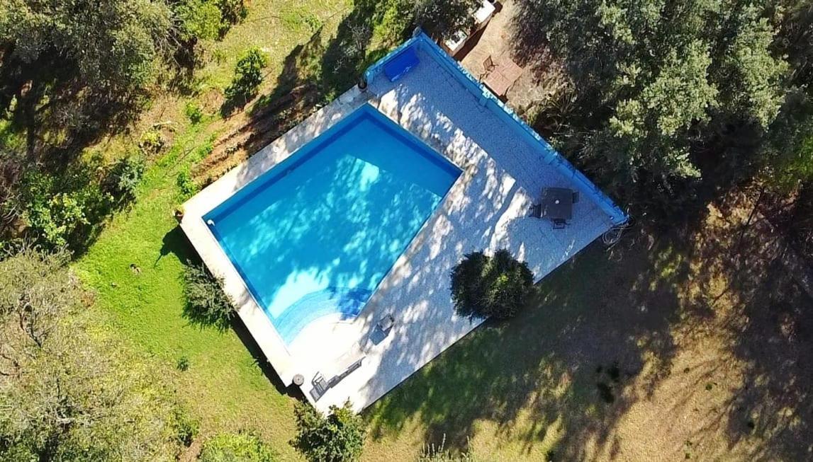 Sotogrande - Estancia En Plena Naturaleza - Abril Eksteriør billede