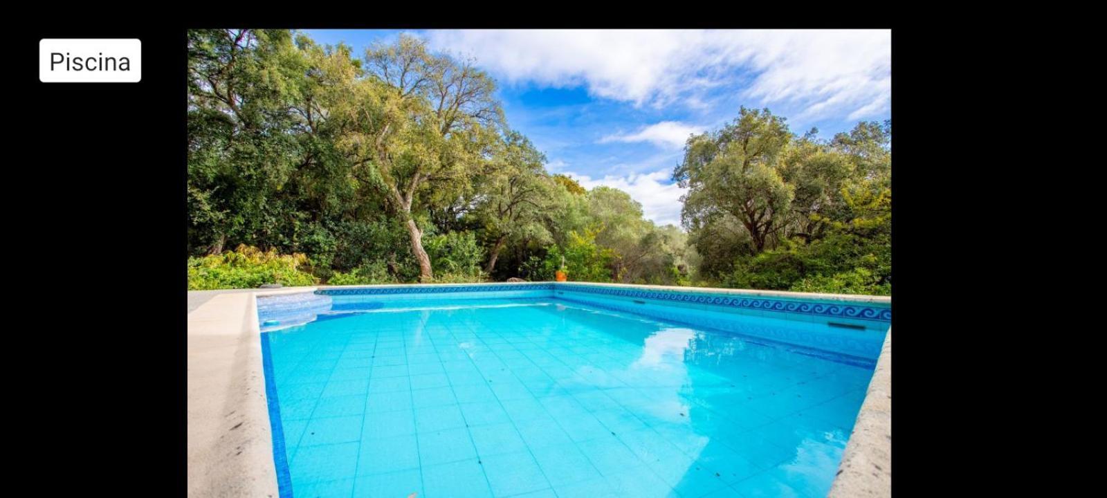 Sotogrande - Estancia En Plena Naturaleza - Abril Eksteriør billede